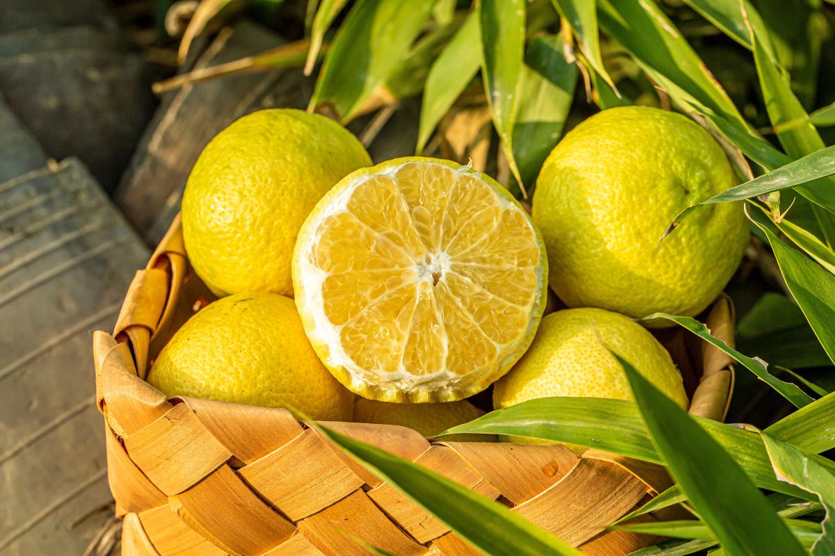 The Citric Acid Win Kidney Stones