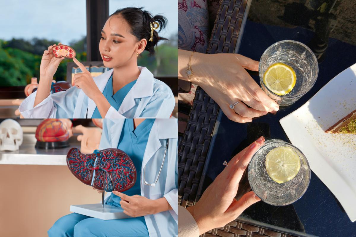 The Liver and Kidneys The Real Workhorses