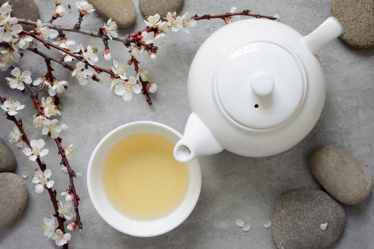 Benefits of White Tea