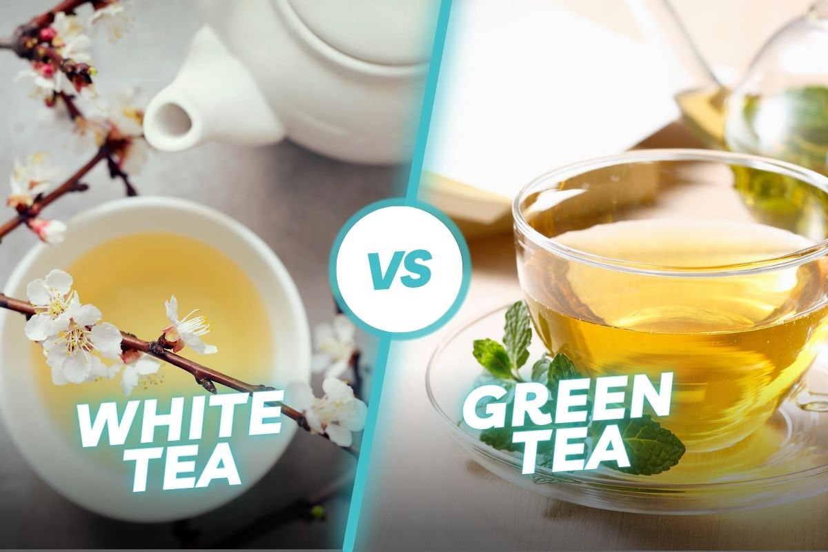 White Tea Benefits vs Green Tea