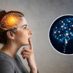 Do We Really Only Use 10% of Our Brain Here's What the Science Says